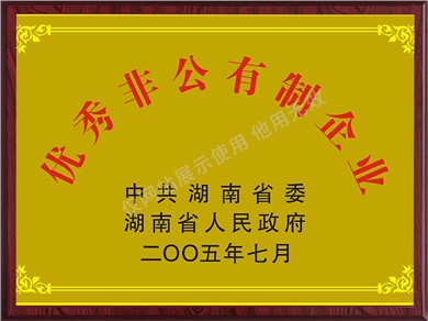 優秀非公有制企業（2005年）