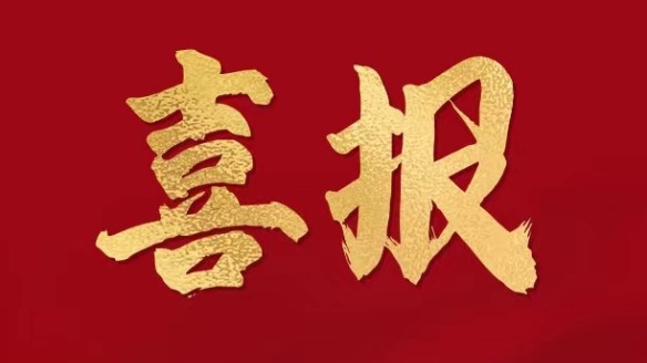 集團榮膺中國民營企業五百強第288位